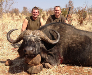 BUFFALO-ZIMBABWE-2014