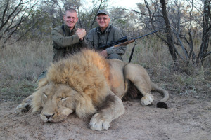 LION-HUNT-KALAHARI