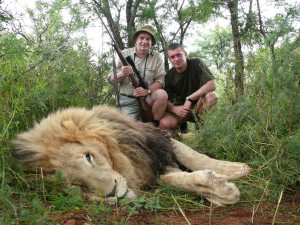 LION-NOVEMBER-2012