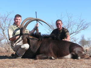 SABLE-ZIMBABWE