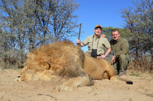 lion-hunt-Kalahari-Aughust-2014
