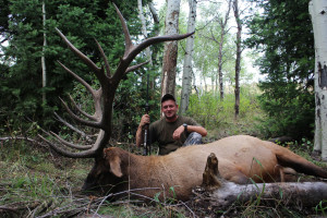 WAPITI-IDAHO