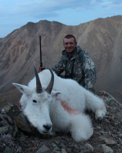 mountain-Goat-ii